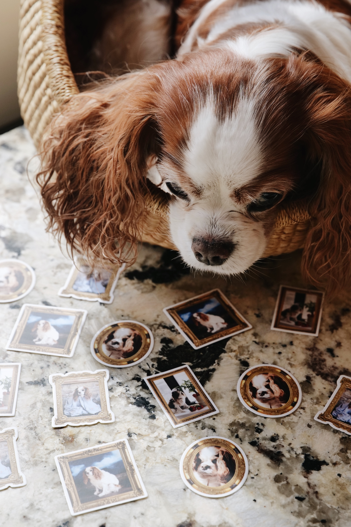 Stickers & Seals