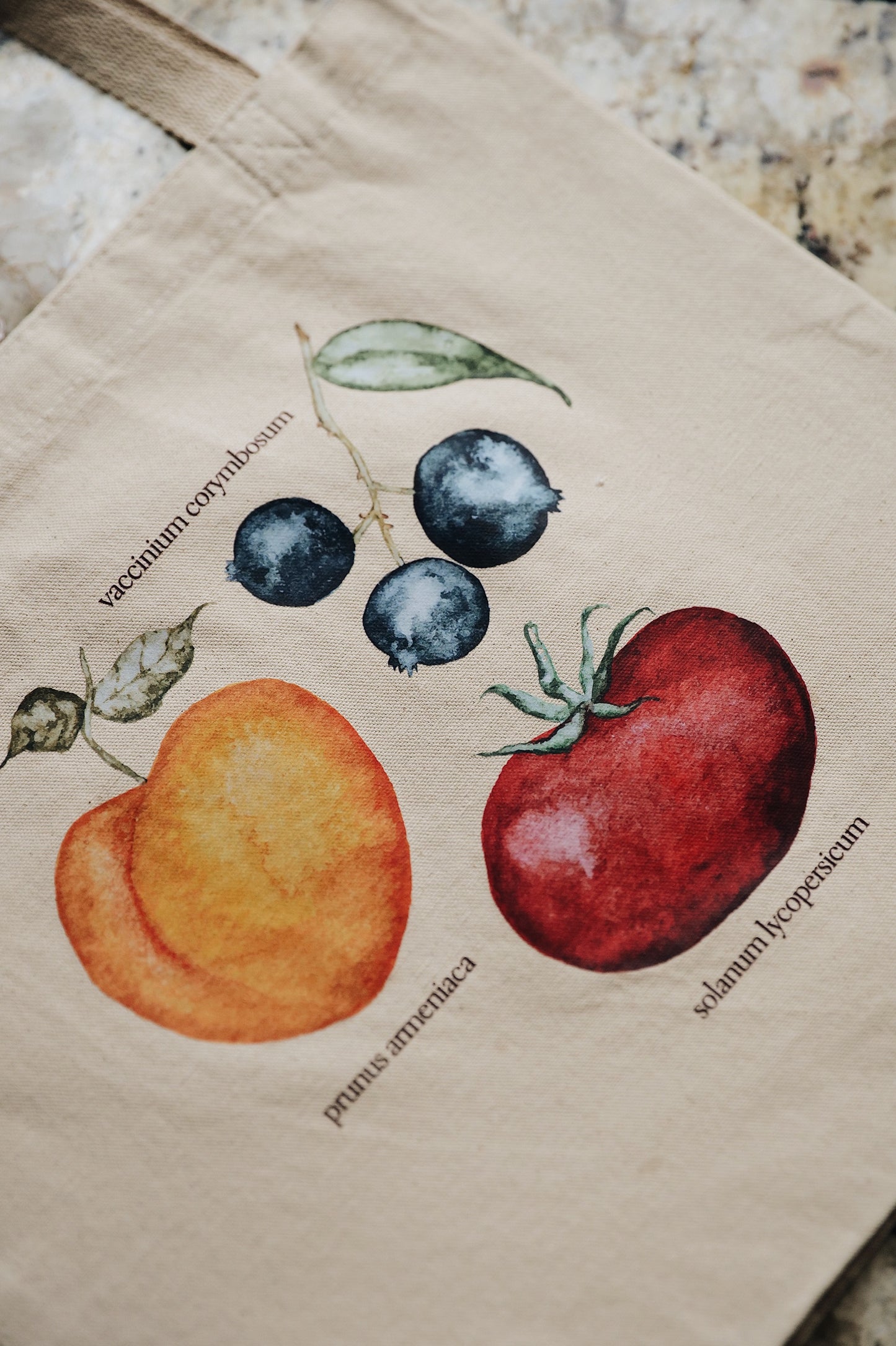Watercolor Fruit Tote | Fruit Stand