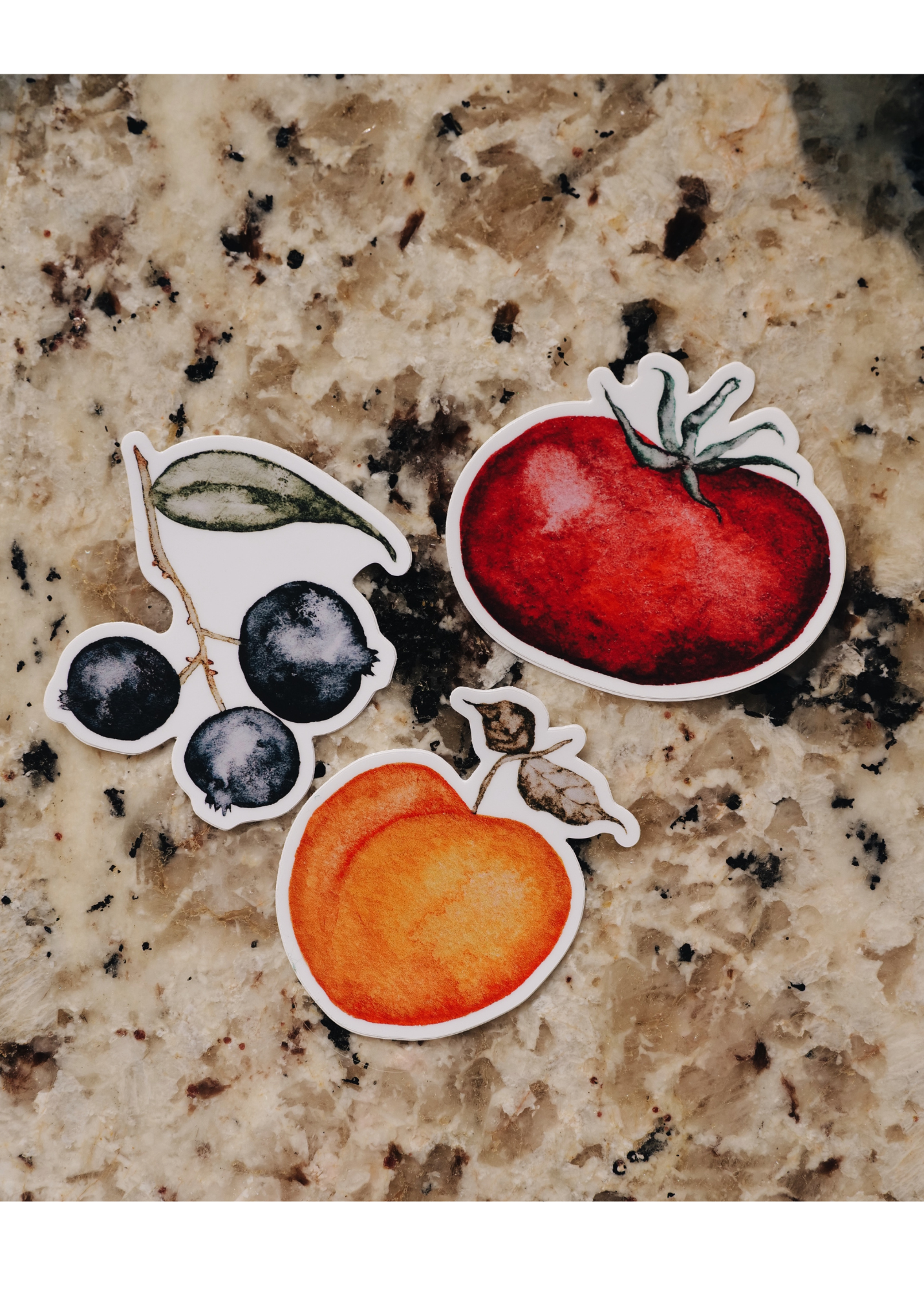 Watercolor Fruit Sticker Pack | Summer 2023 Fruit Stand