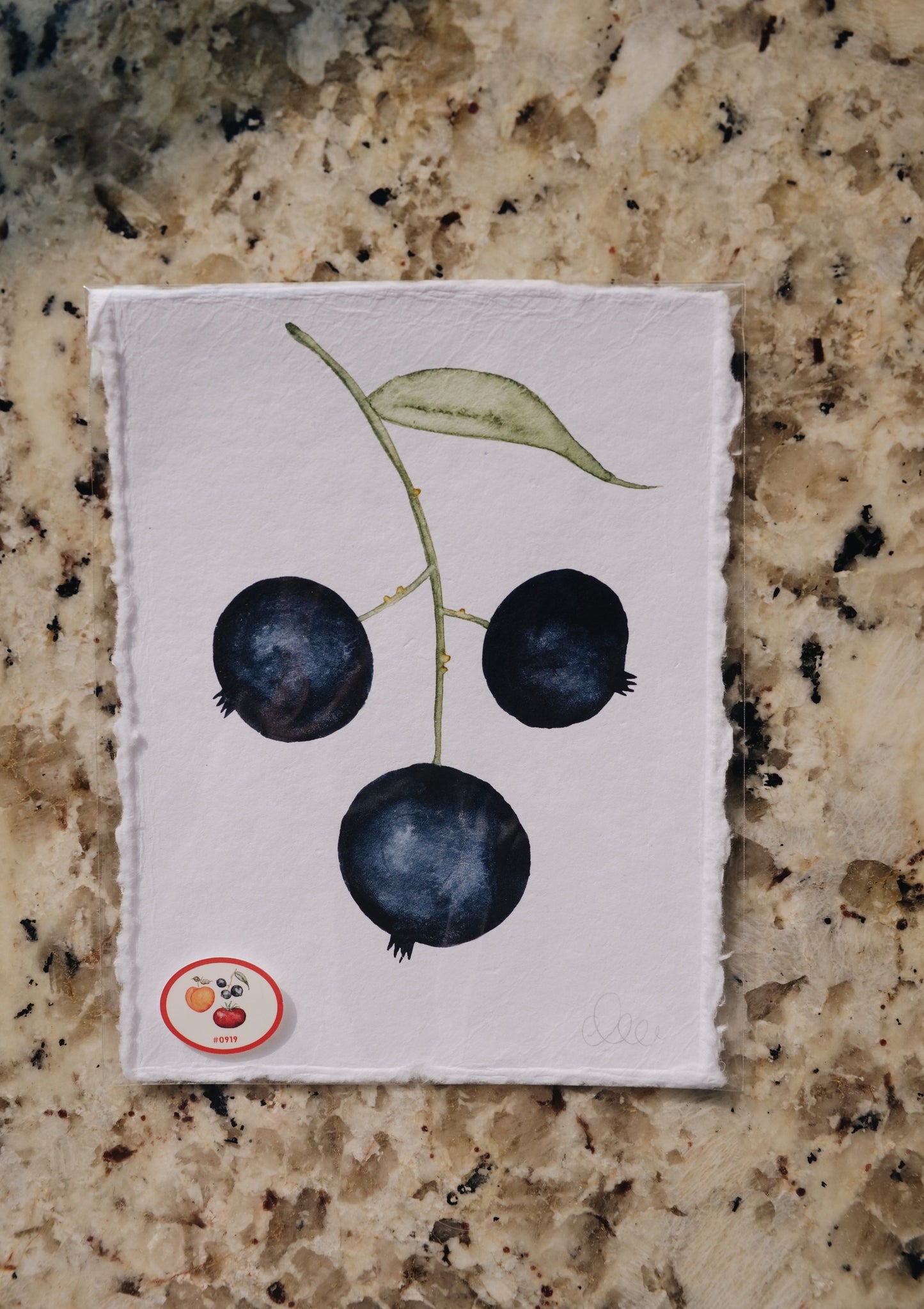 Hand-Painted Blueberry | Fruit Stand