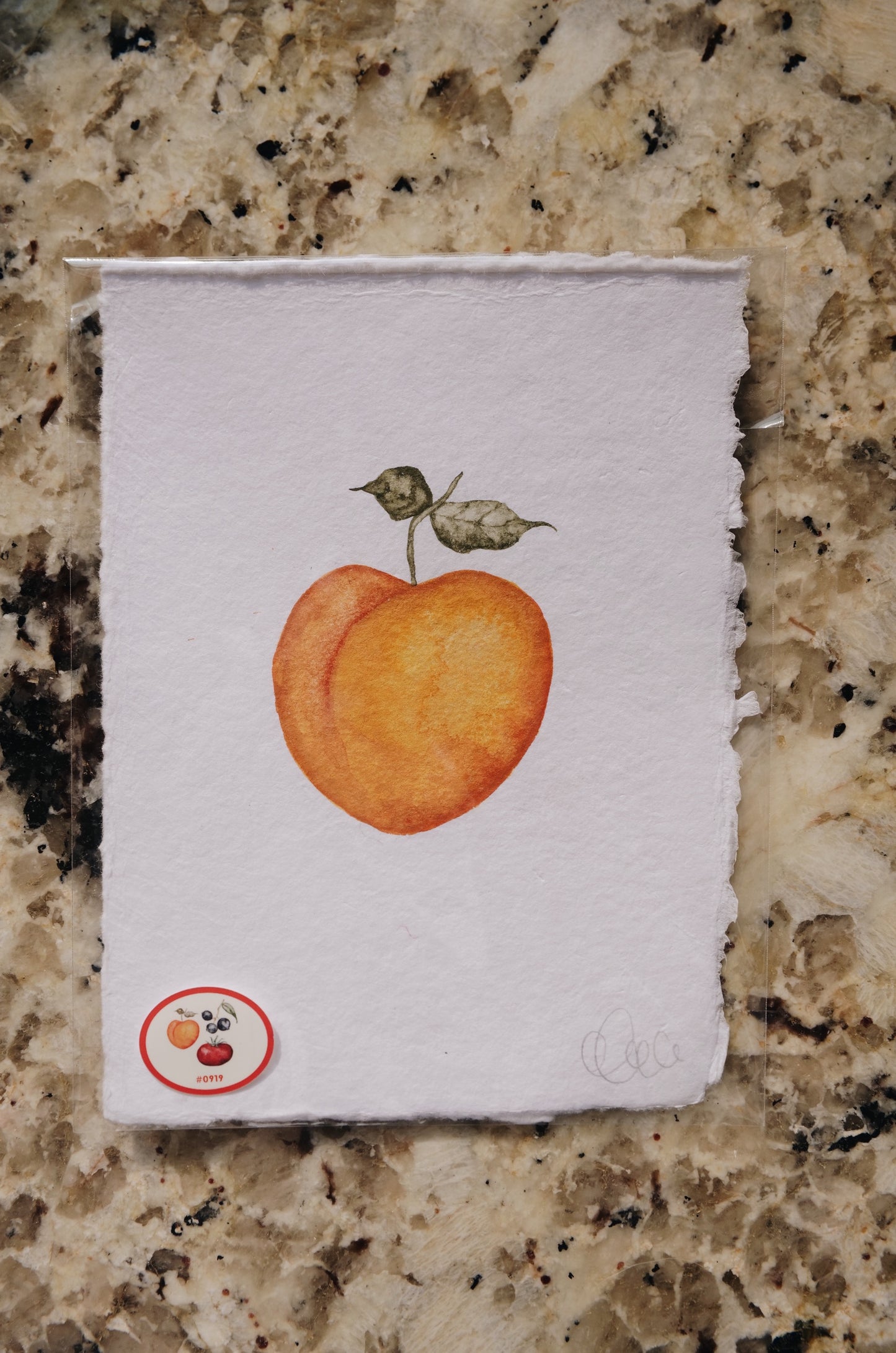 Hand-Painted Apricot | Fruit Stand