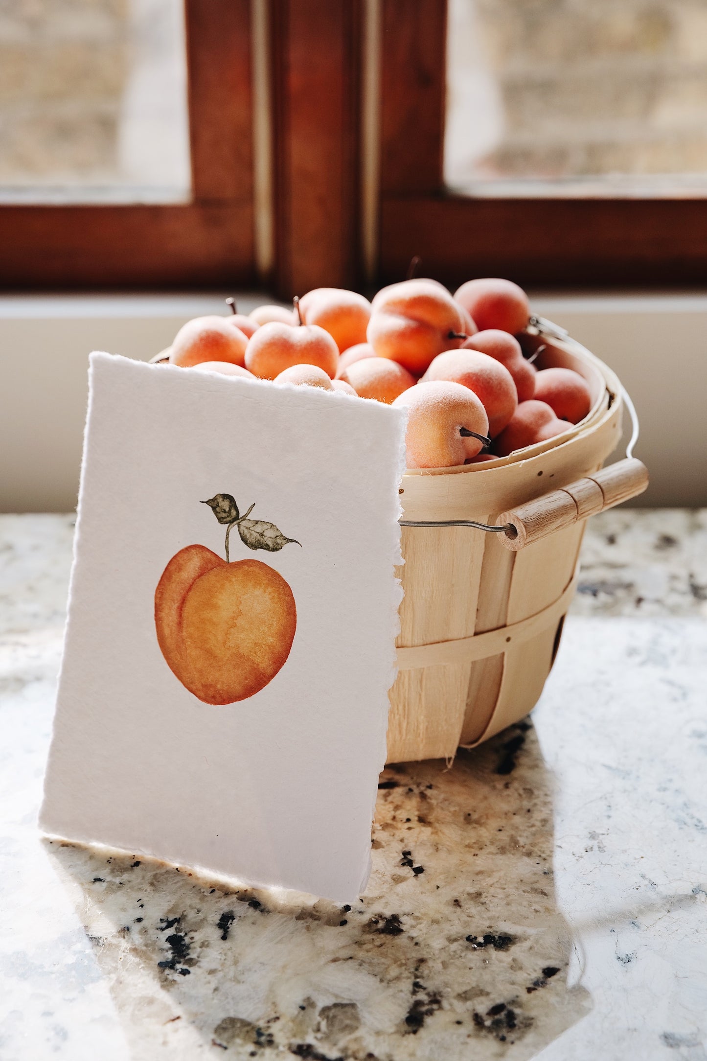 Hand-Painted Apricot | Fruit Stand