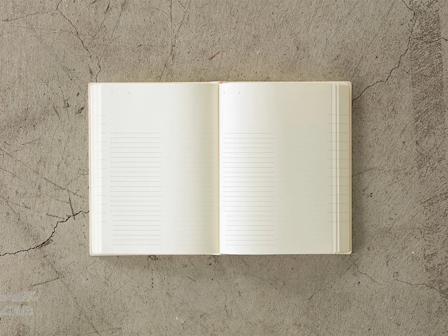 Midori 2024 Diary 1 Day 1 Page - A6