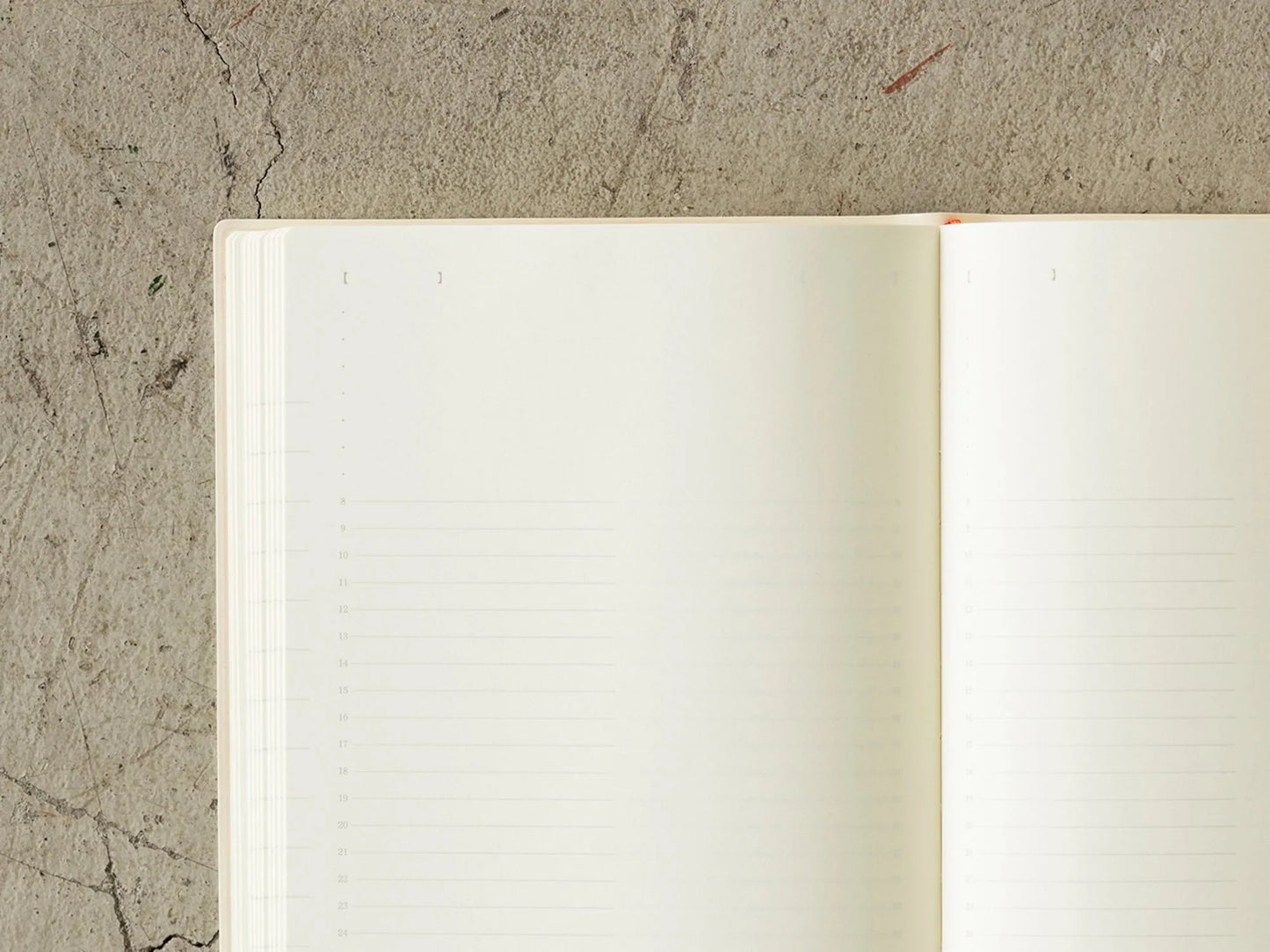 Midori 2024 Diary 1 Day 1 Page - A6