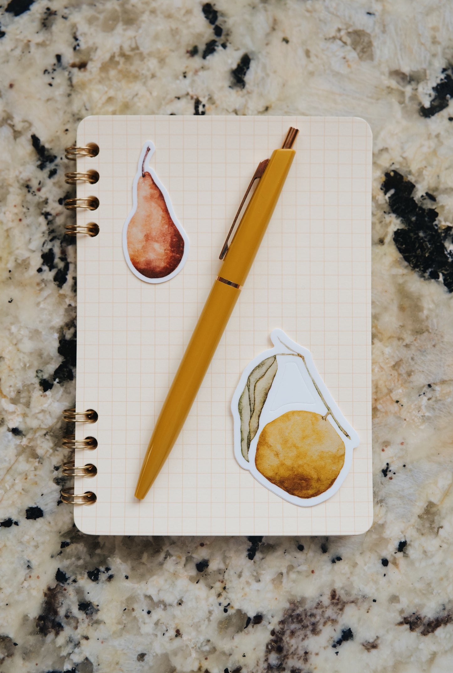 Watercolor Fruit Stickers - Pack of 4