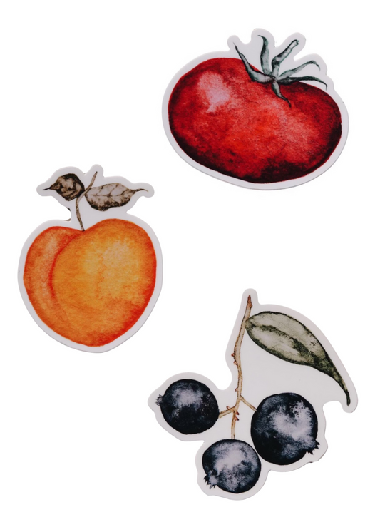 Watercolor Fruit Sticker Pack | Fruit Stand