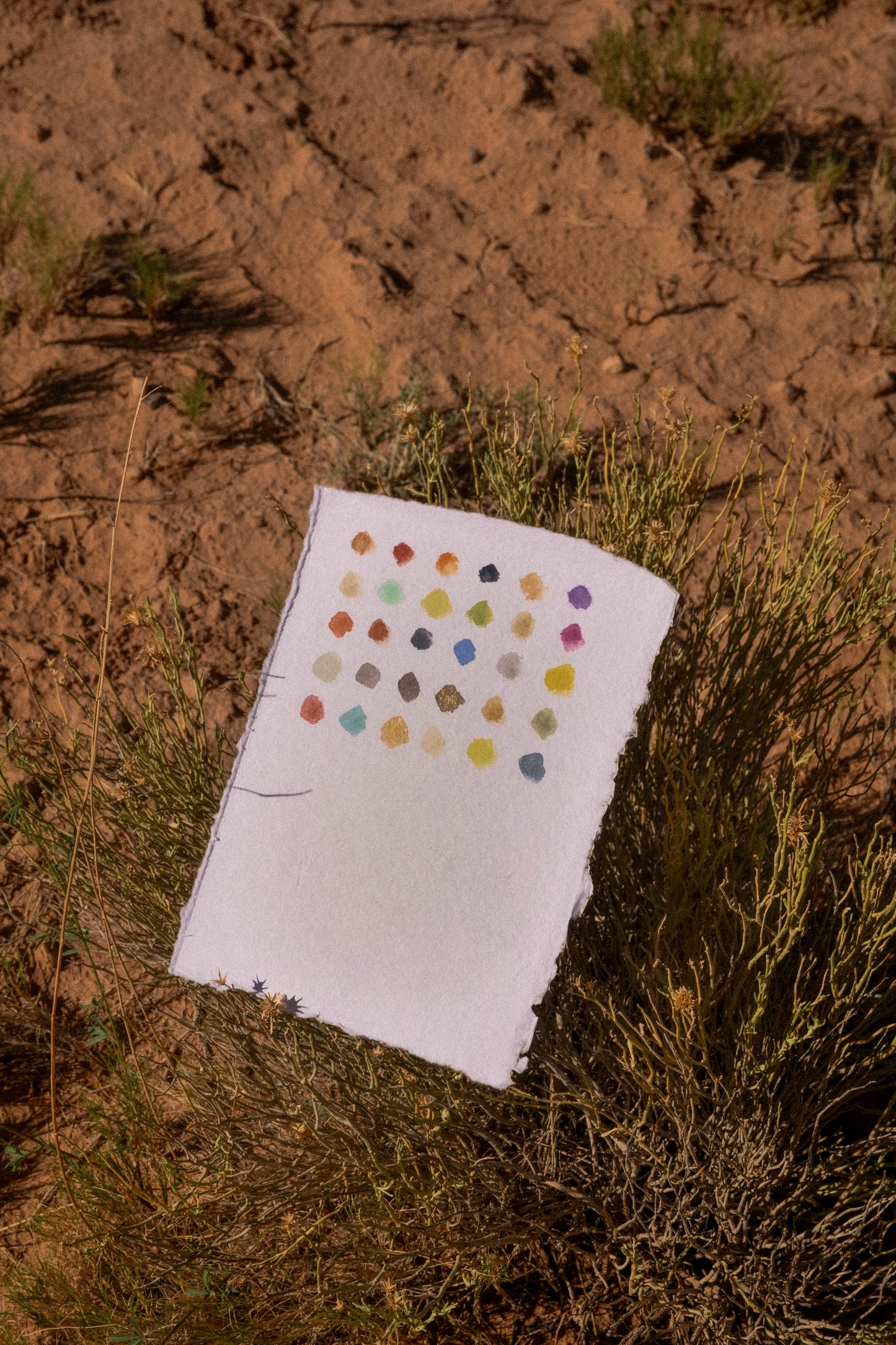 Martha Mae x Beam Paints: The O'Keeffe Palette Plein Air Watercolor Set of 20 in Leather Case