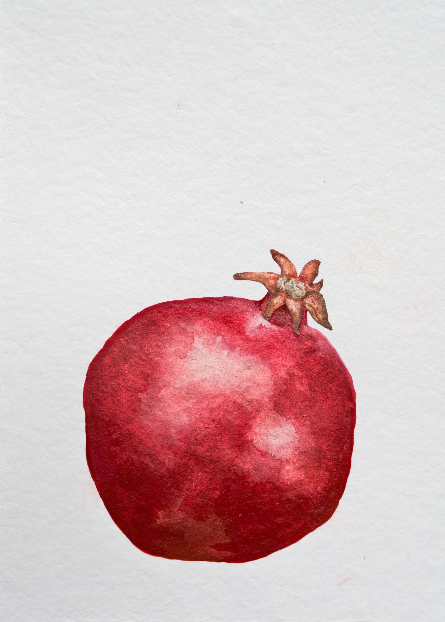 Pomegranate