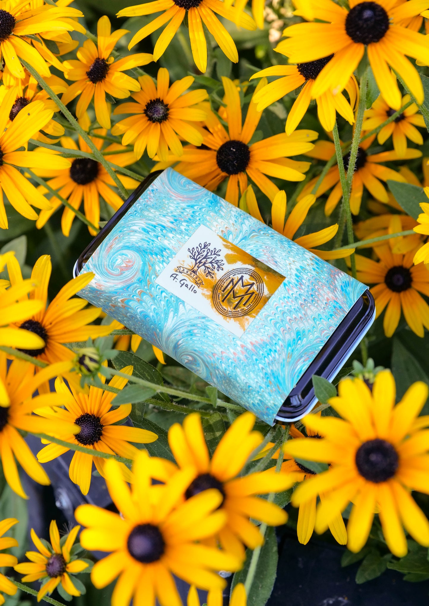 The Prairie Palette: A Martha Mae x A. Gallo Watercolor Palette