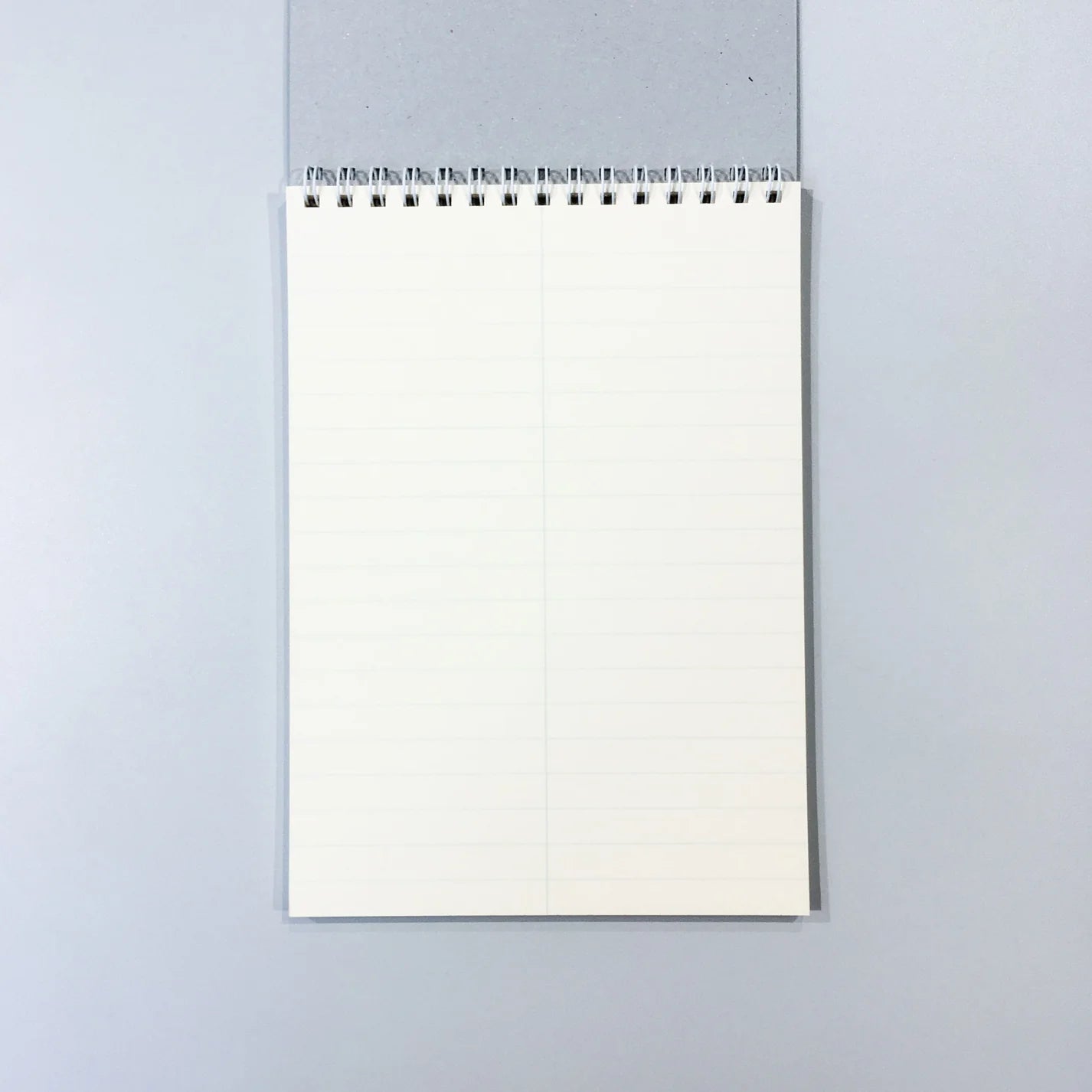 Life Stenographer Notebook - Ruled