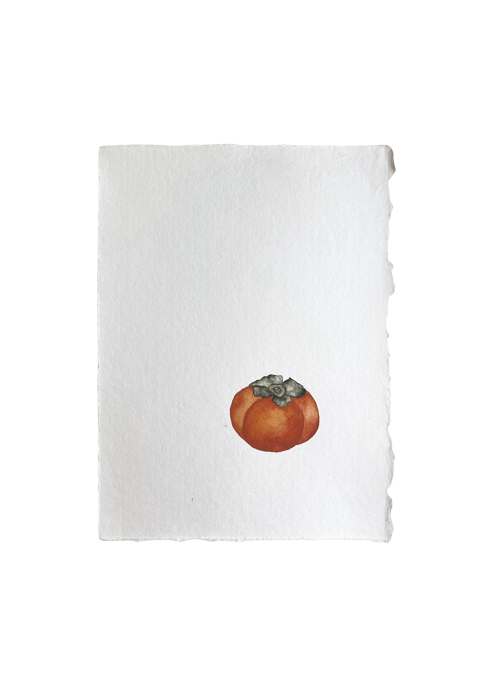 Persimmon