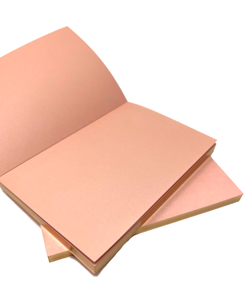 Blush Jotter Notebooks Set of 2