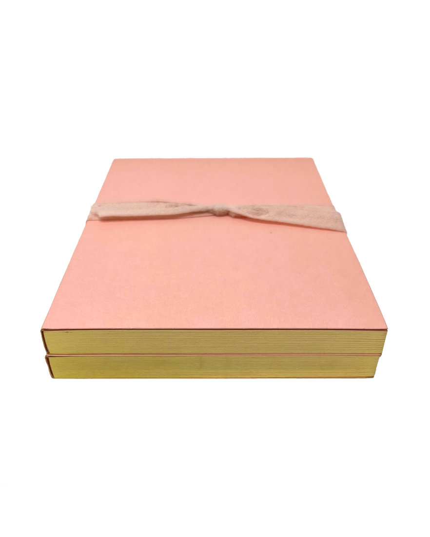 Blush Jotter Notebooks Set of 2