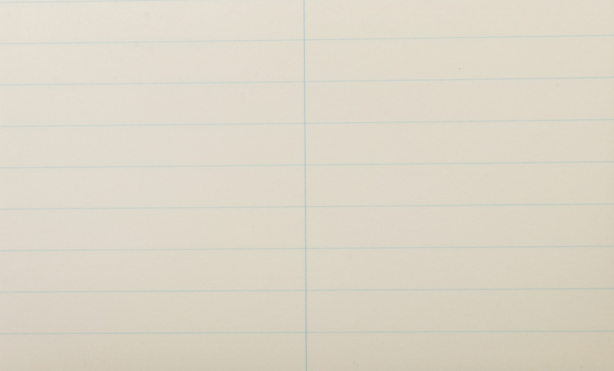 Life Stenographer Notebook - Ruled