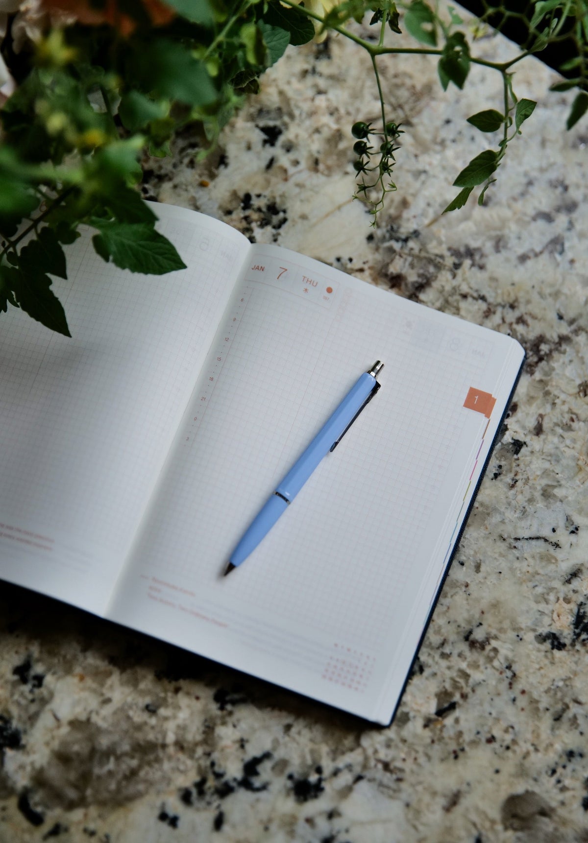 Calendars & Planners