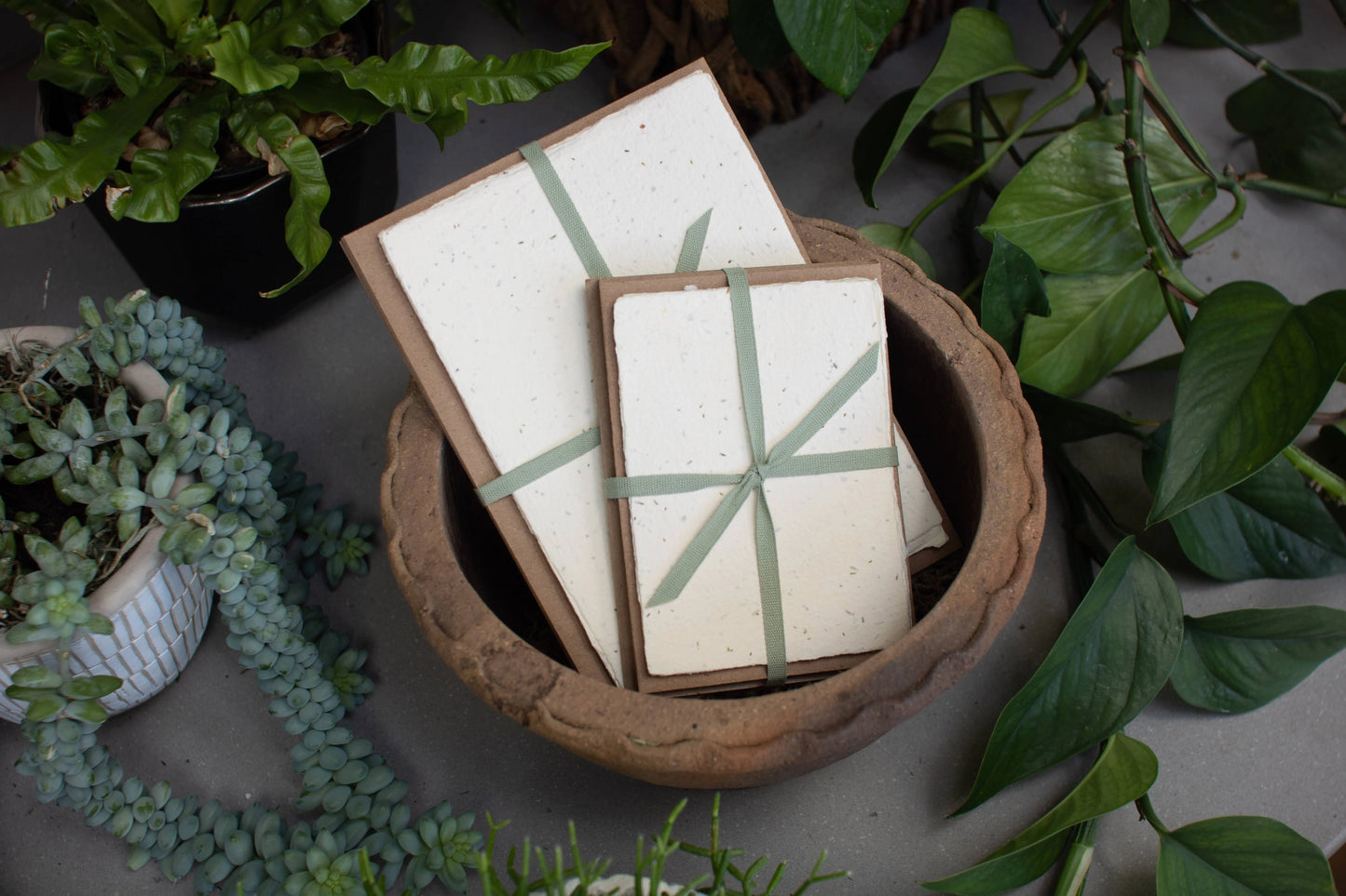 Oblation Press Seed Handmade Paper Pack Wallet Size