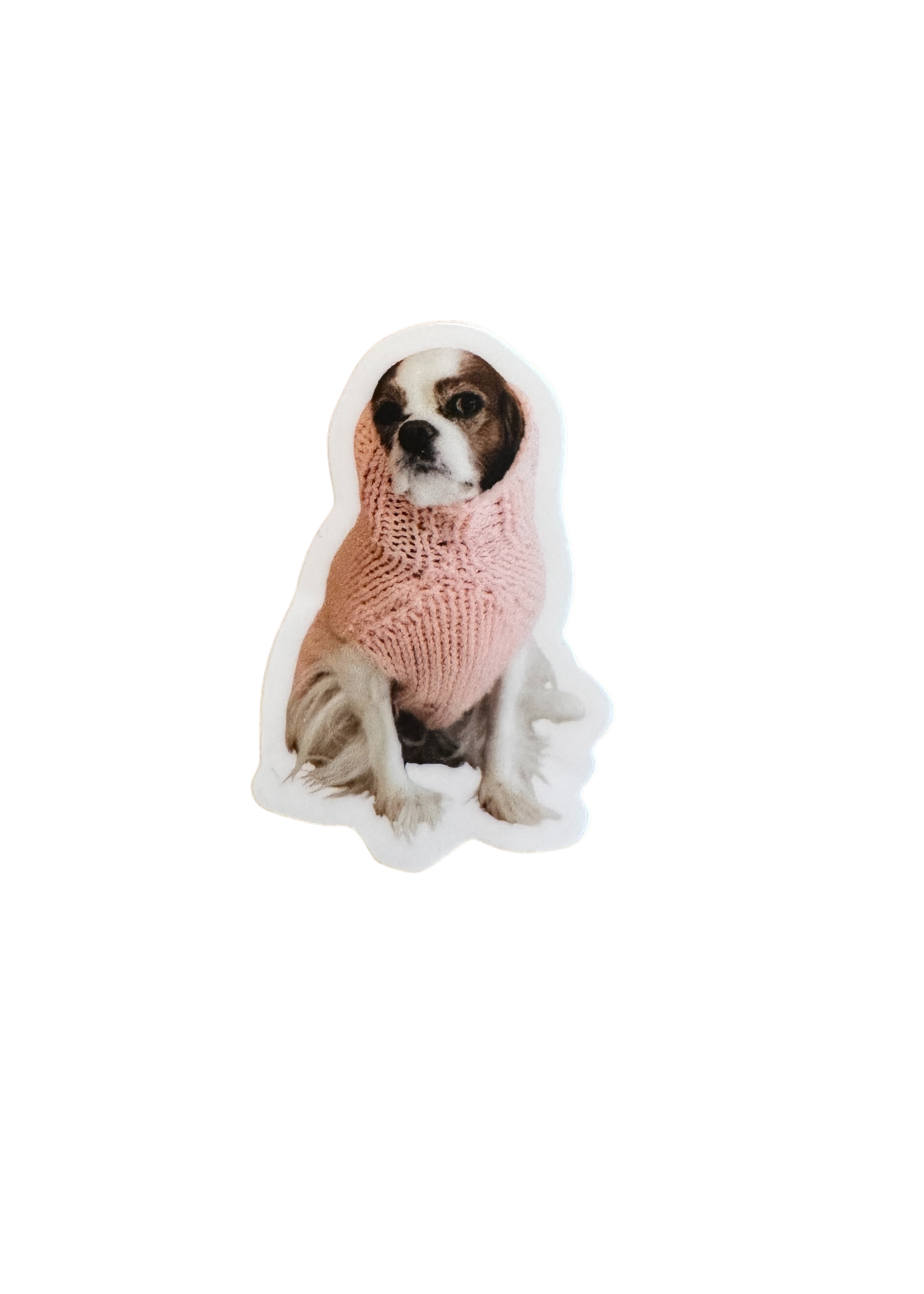 Girl in Cozy Sweater (Pink)