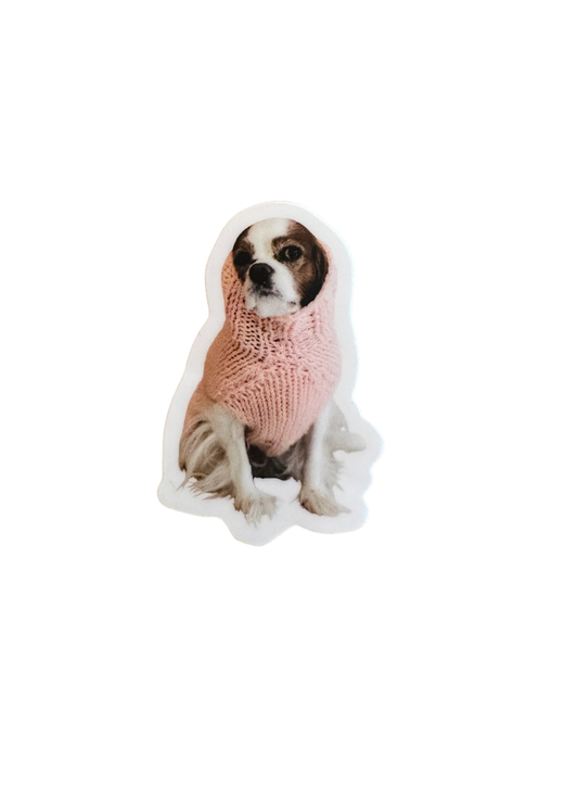 Girl in Cozy Sweater (Pink)