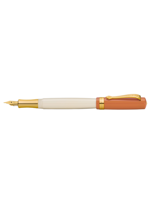 70's Soul Student Extra Fine Fountain Pen