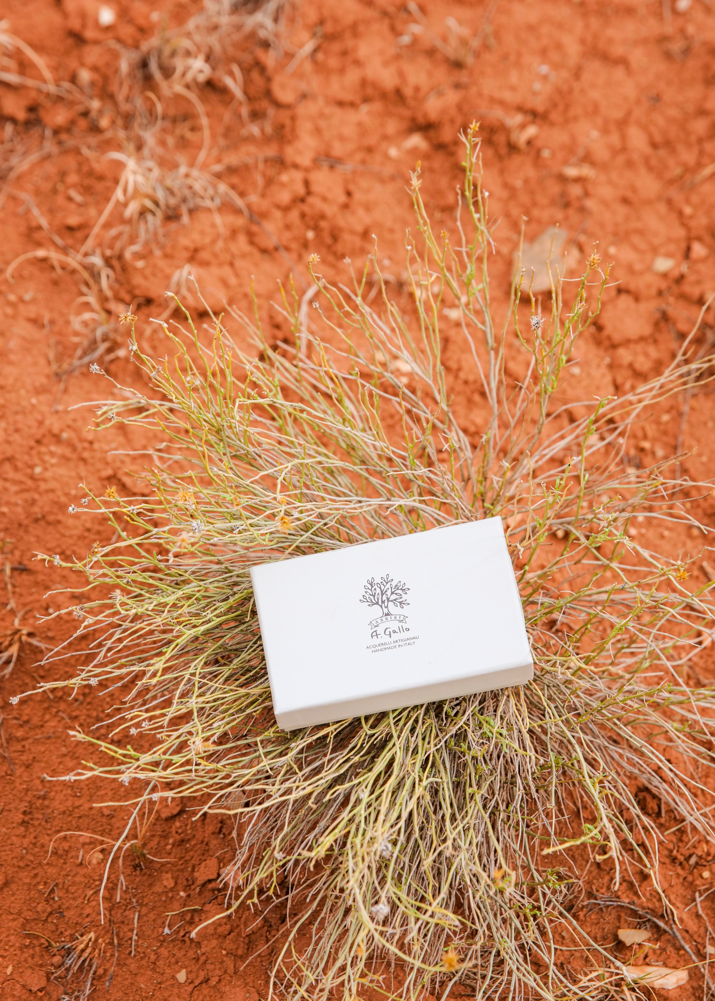 The Ghost Ranch Palette: A Martha Mae x A. Gallo Watercolor Paint Palette