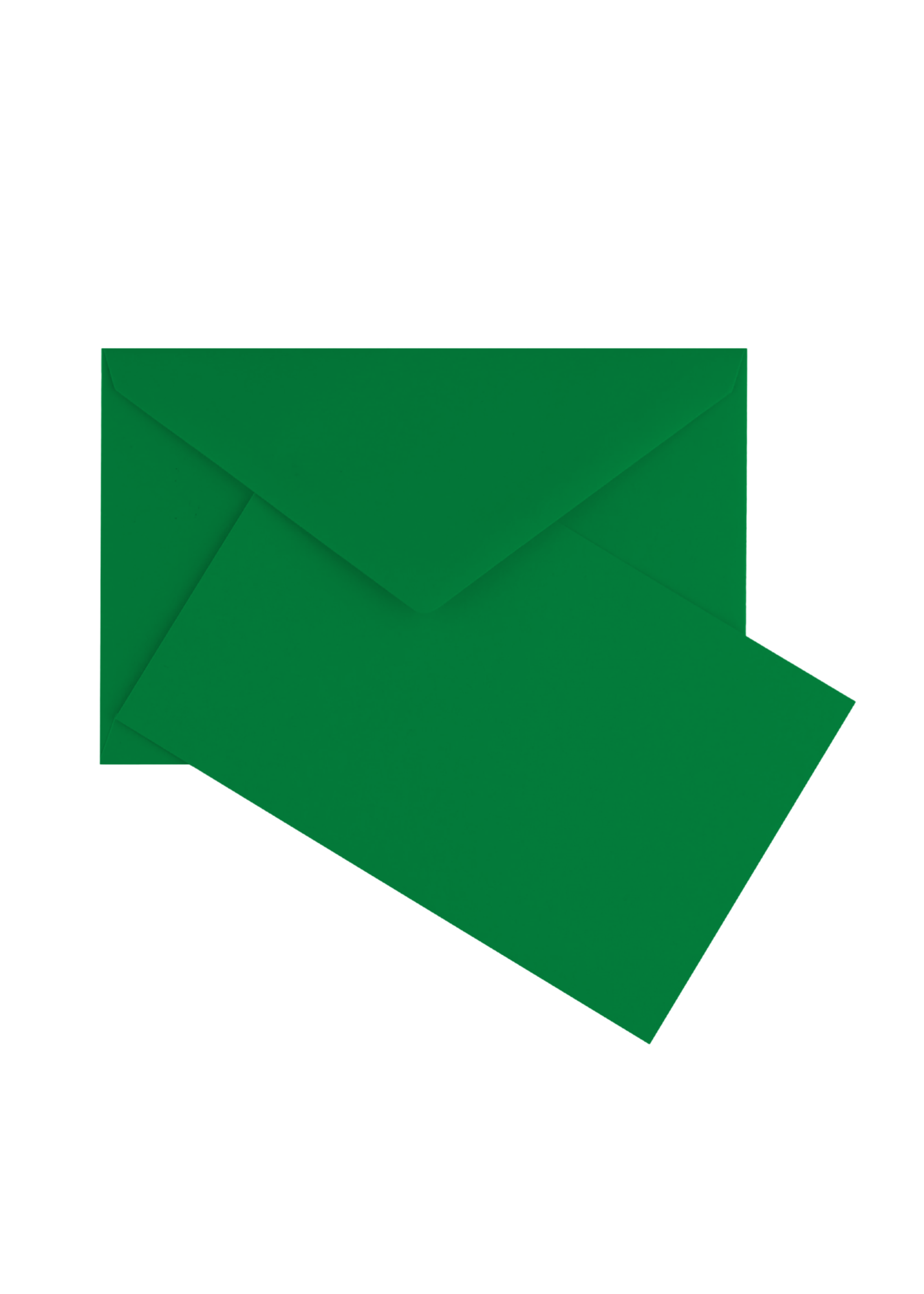Color Vellum Card Set of 25 - Amazon Green