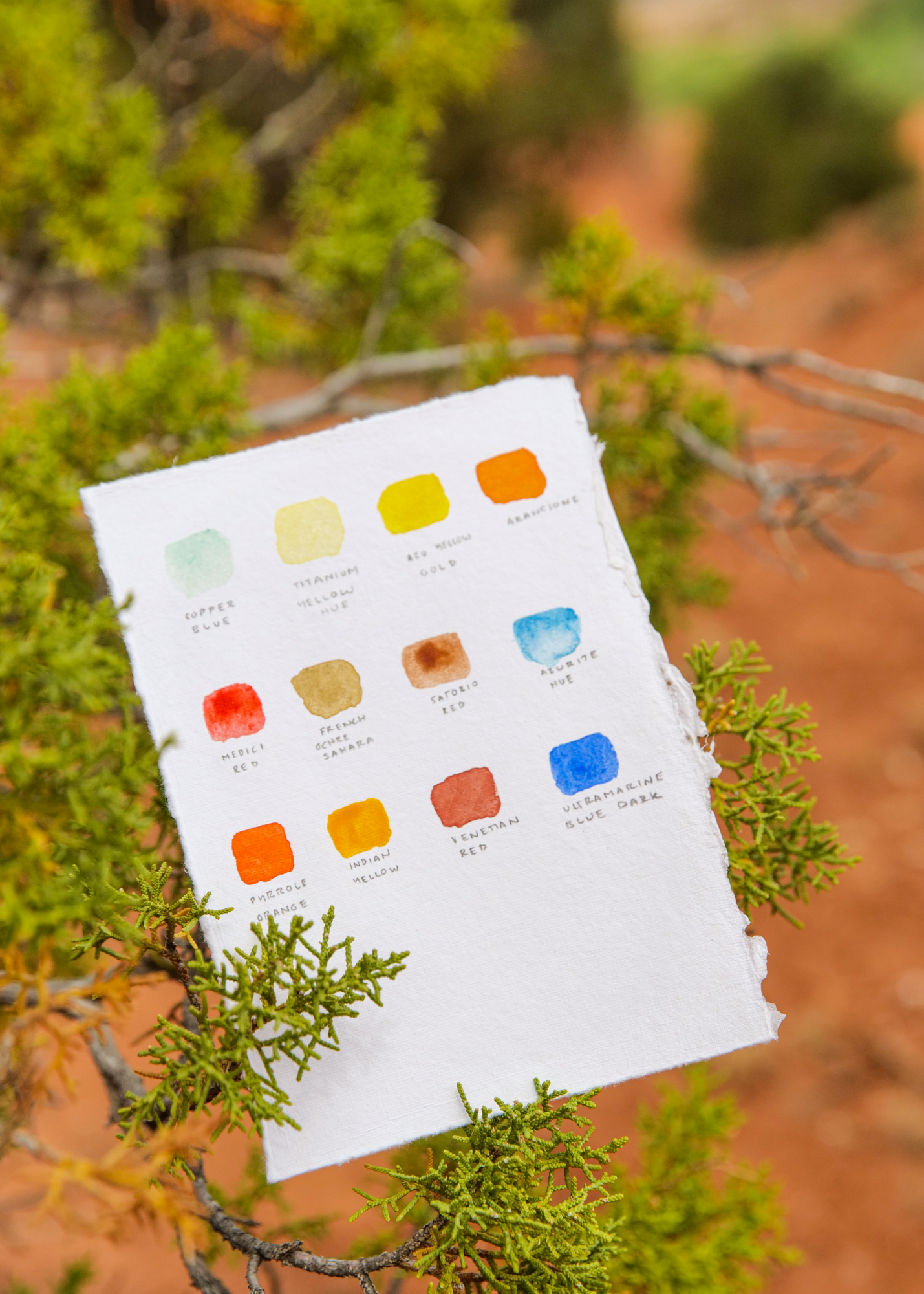 The Ghost Ranch Palette: A Martha Mae x A. Gallo Watercolor Paint Palette