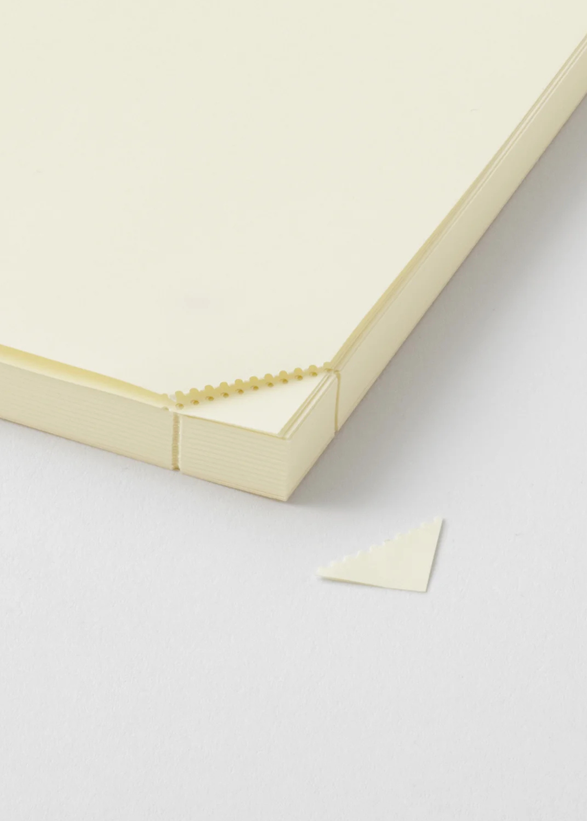 A5 Codex 1 Day 1 Page Notebook Journal - Blank