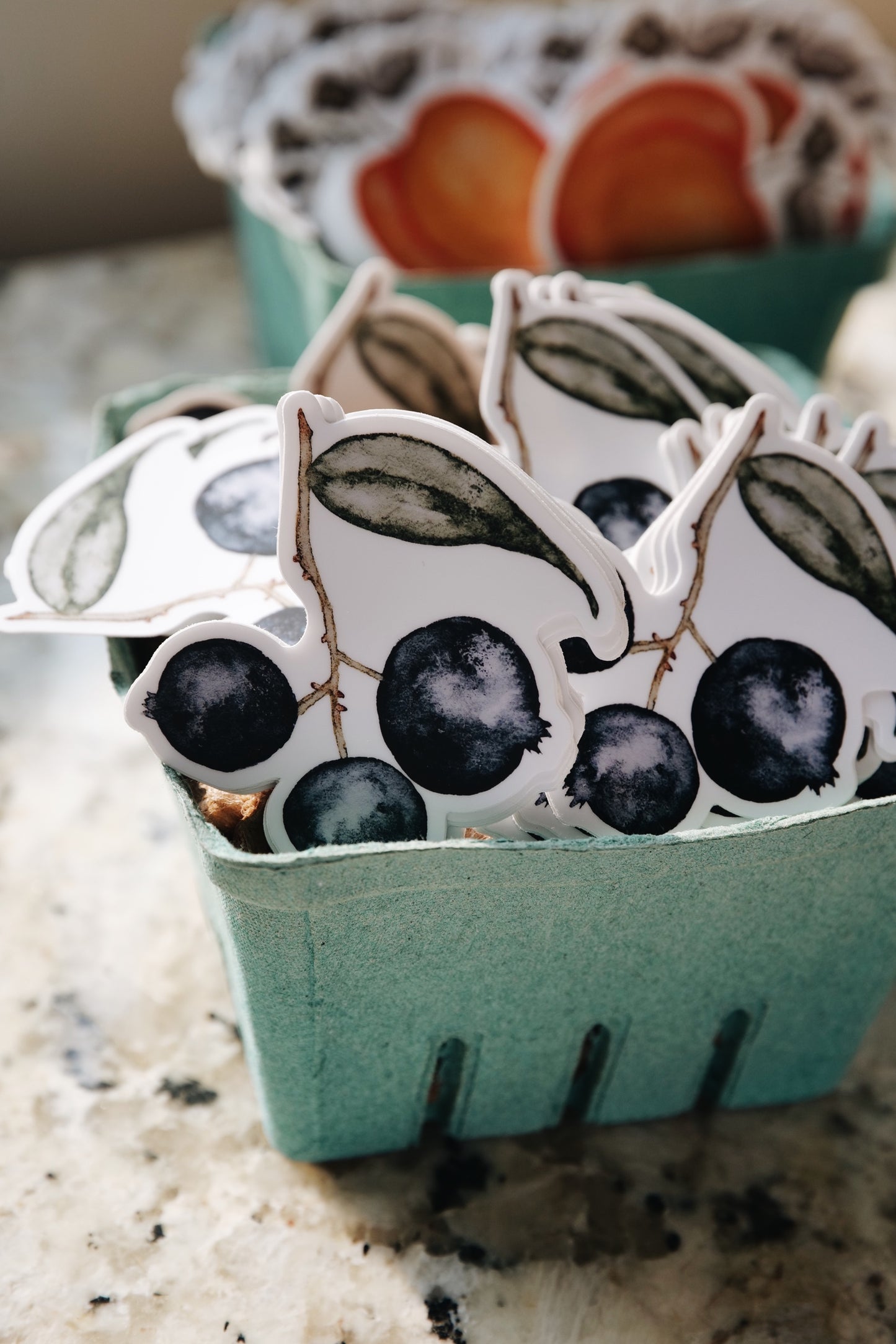 Watercolor Blueberry Sticker | Fruit Stand