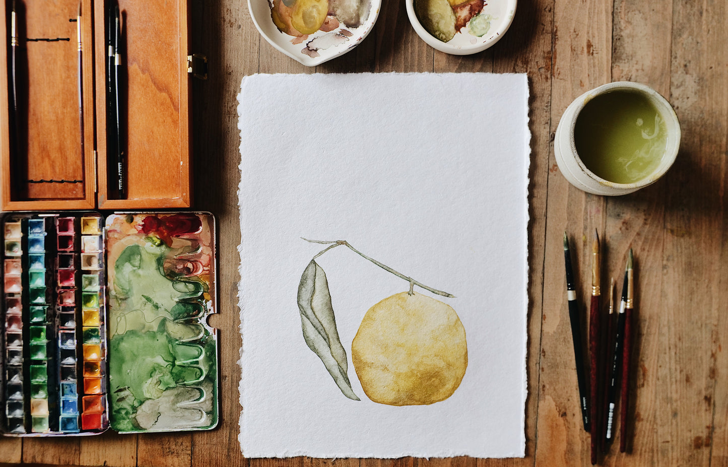 Citrus Study Watercolor Workshop | February 2nd @ Martha Mae Studio - Chicago