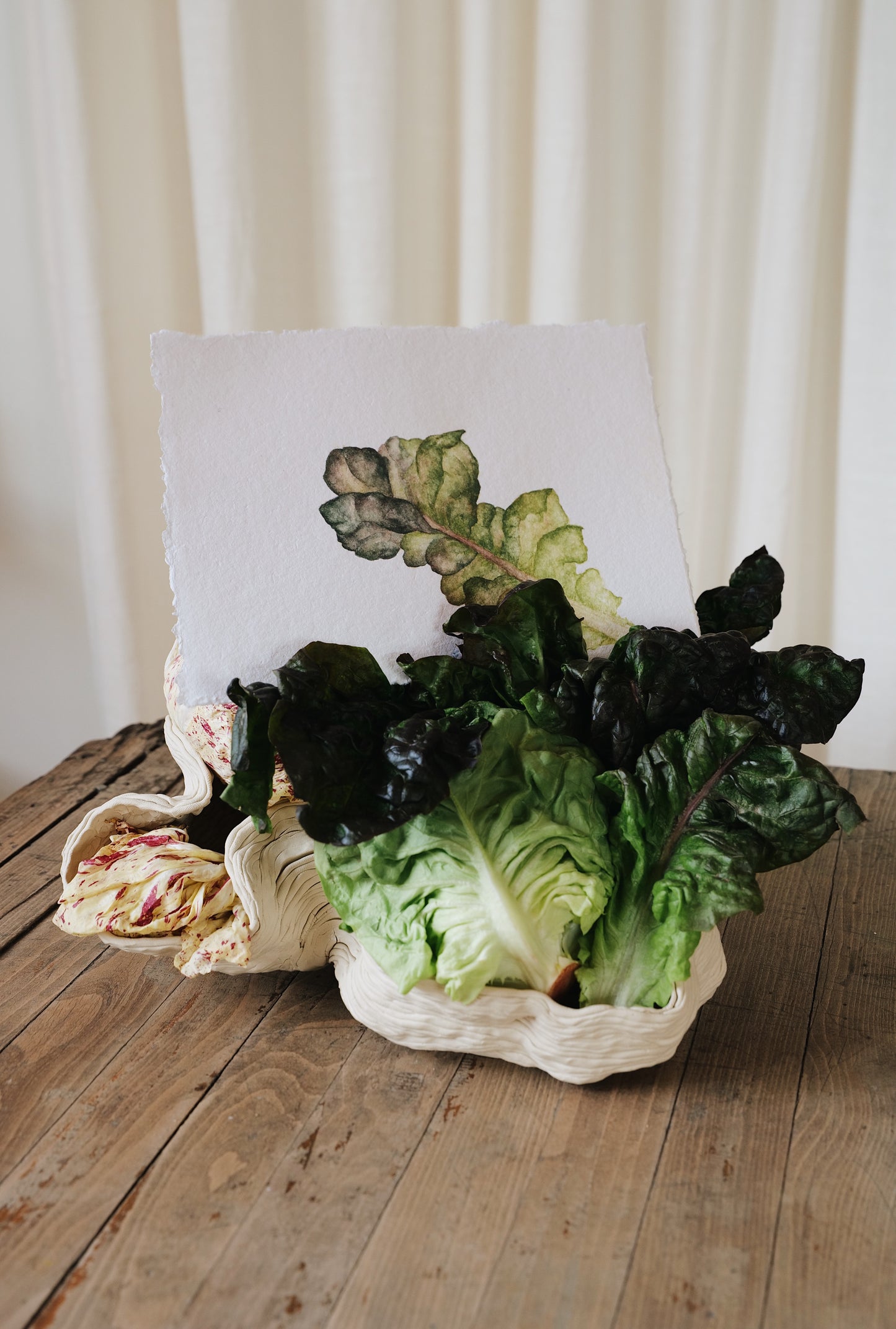 Lettuce Study Watercolor Workshop | April 13th @ Martha Mae Studio - Chicago