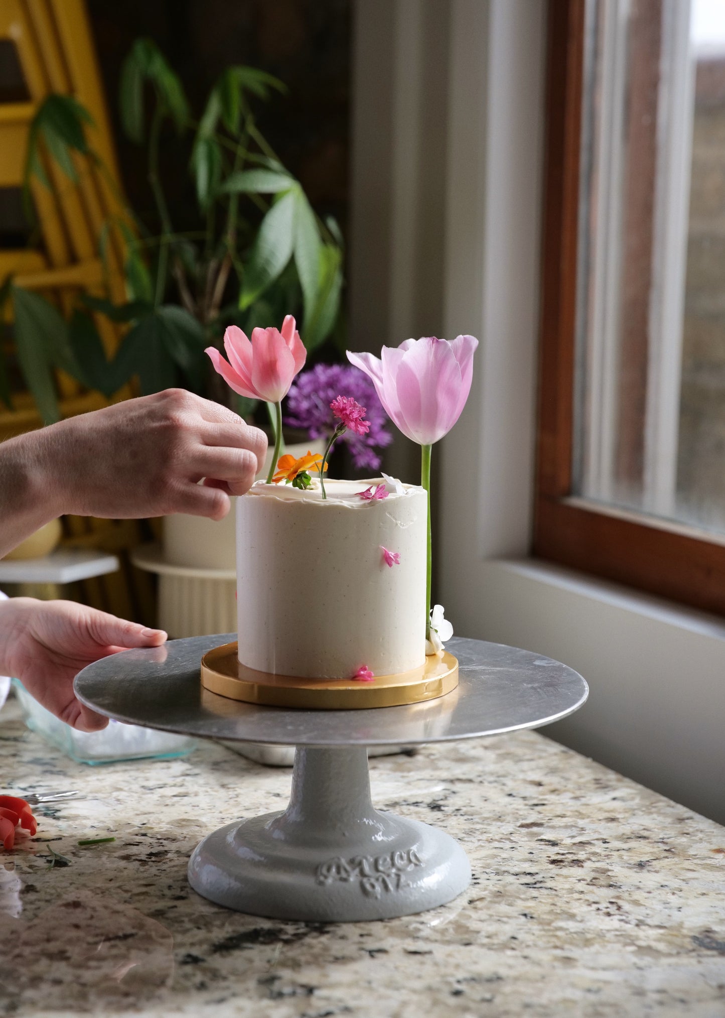 Palette of Petals: A Botanical Cake Decorating and Watercolor Workshop | September 6th @ Martha Mae Studio