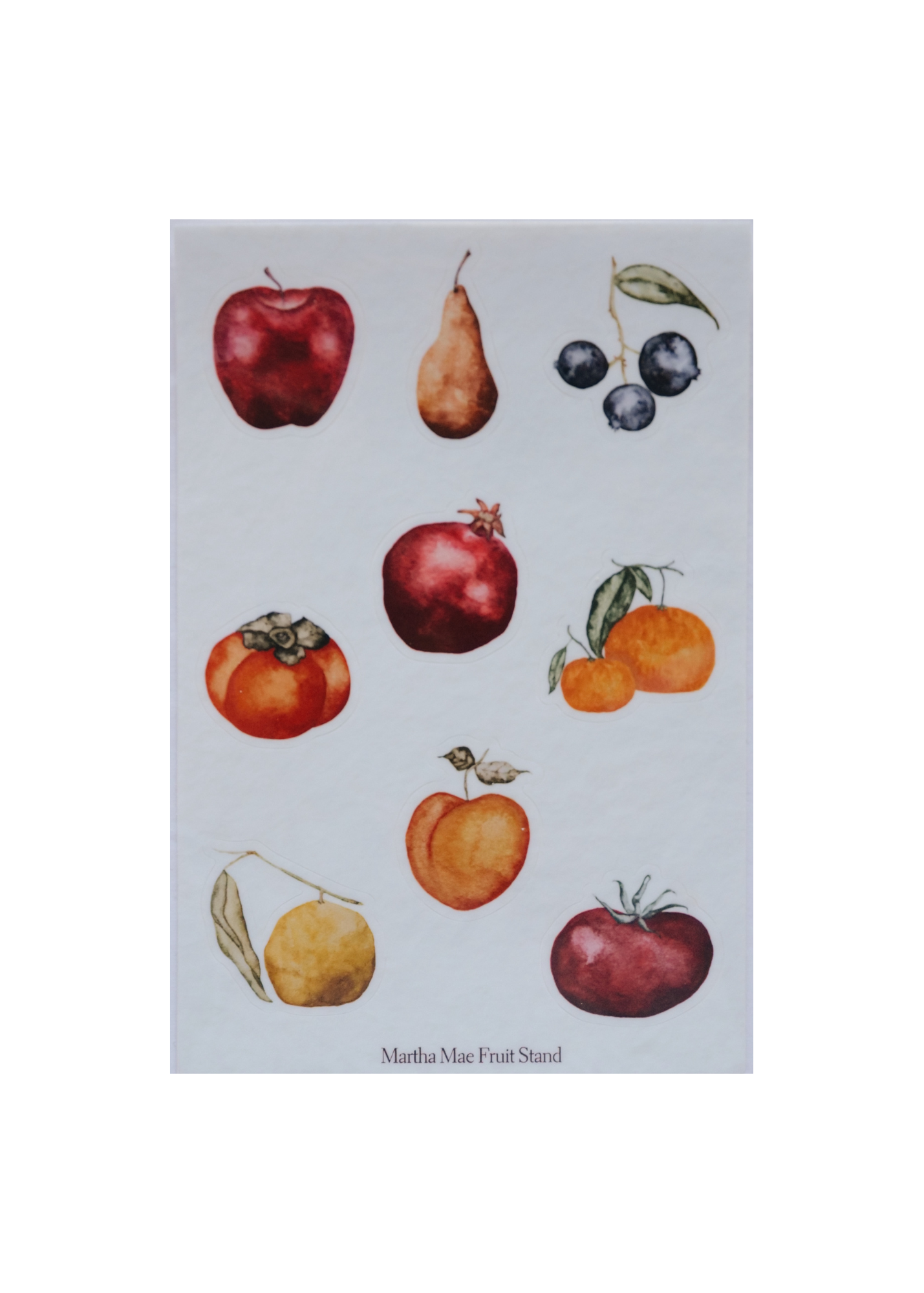 Watercolor Fruit Sticker Sheets - Pack of 3