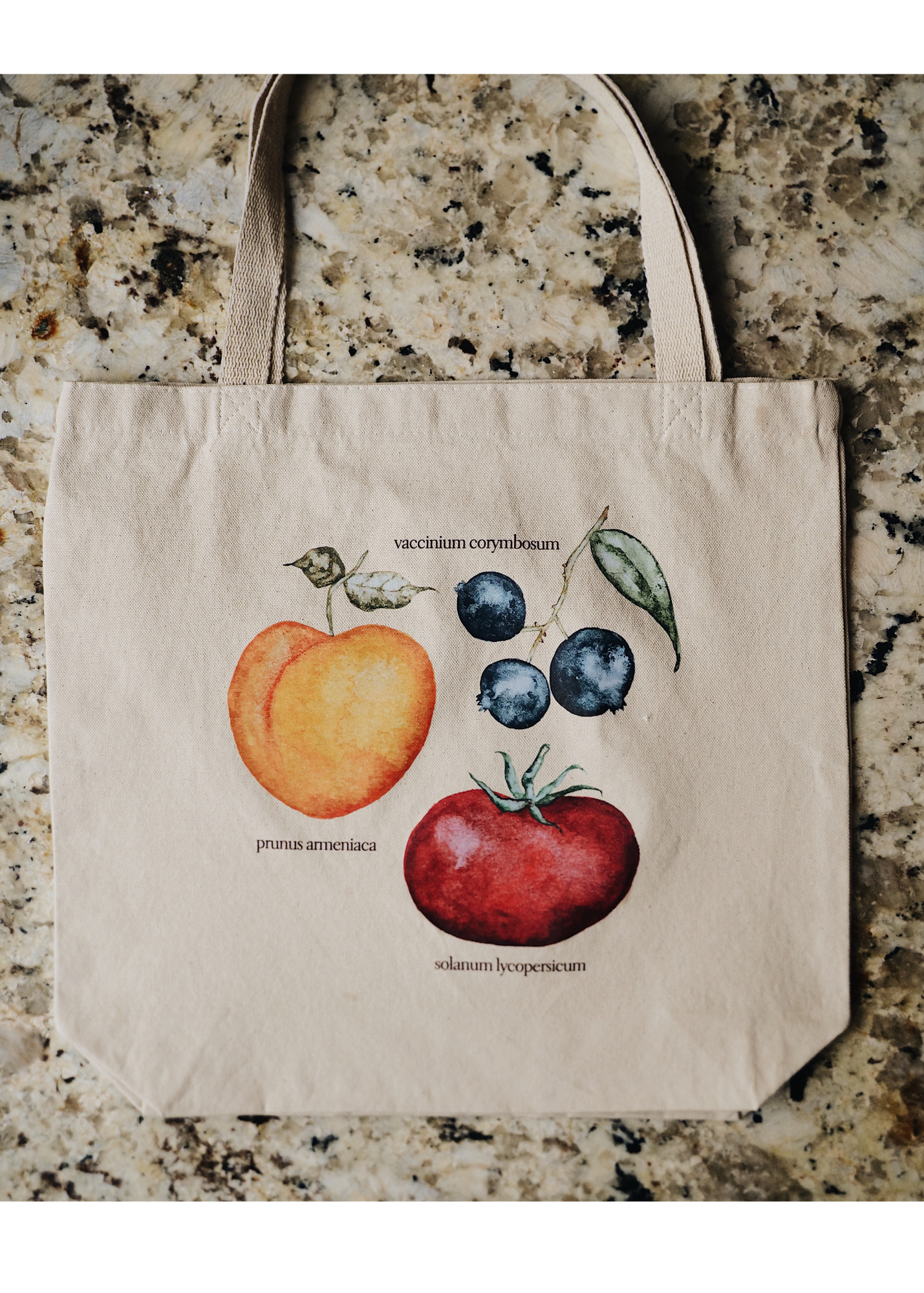 Watercolor Fruit Tote | Summer 2023 Fruit Stand