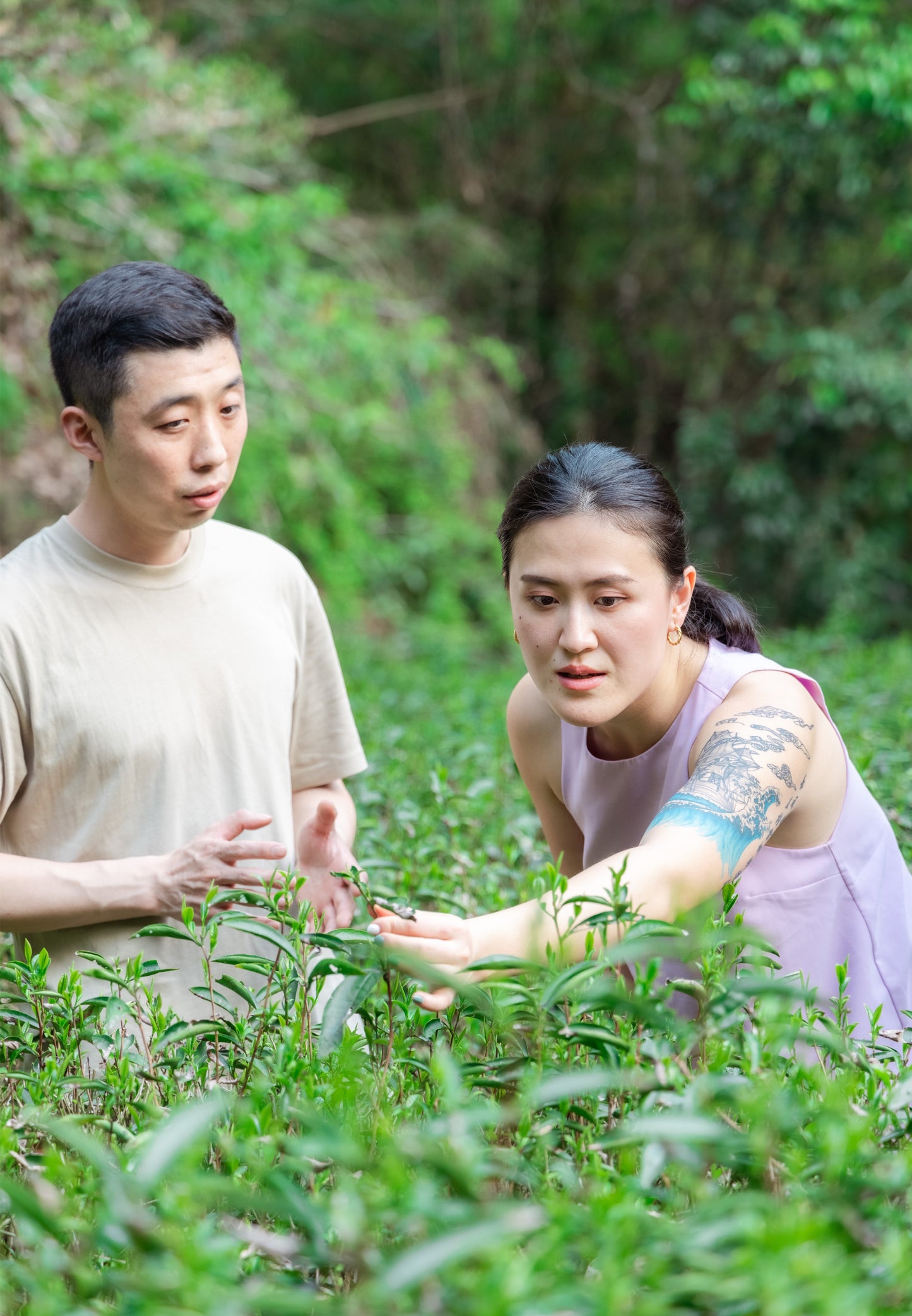 Two Fires: An Oolong Study with Volition Tea | October 3rd @ Martha Mae Studio