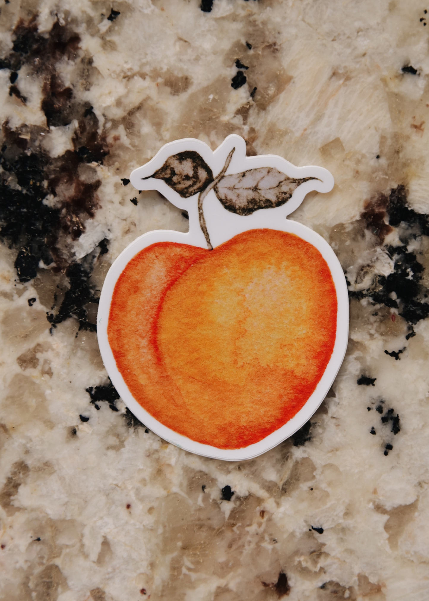 Watercolor Apricot Sticker | Summer 2023 Fruit Stand
