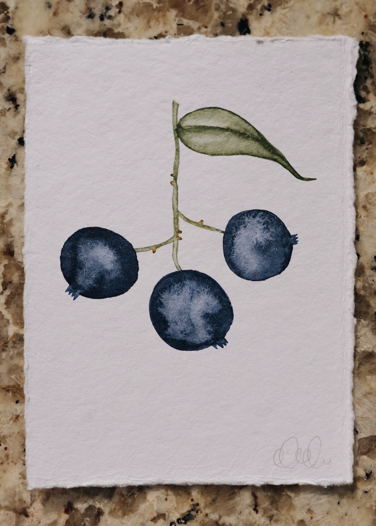 Hand-Painted Blueberry | Summer 2023 Fruit Stand