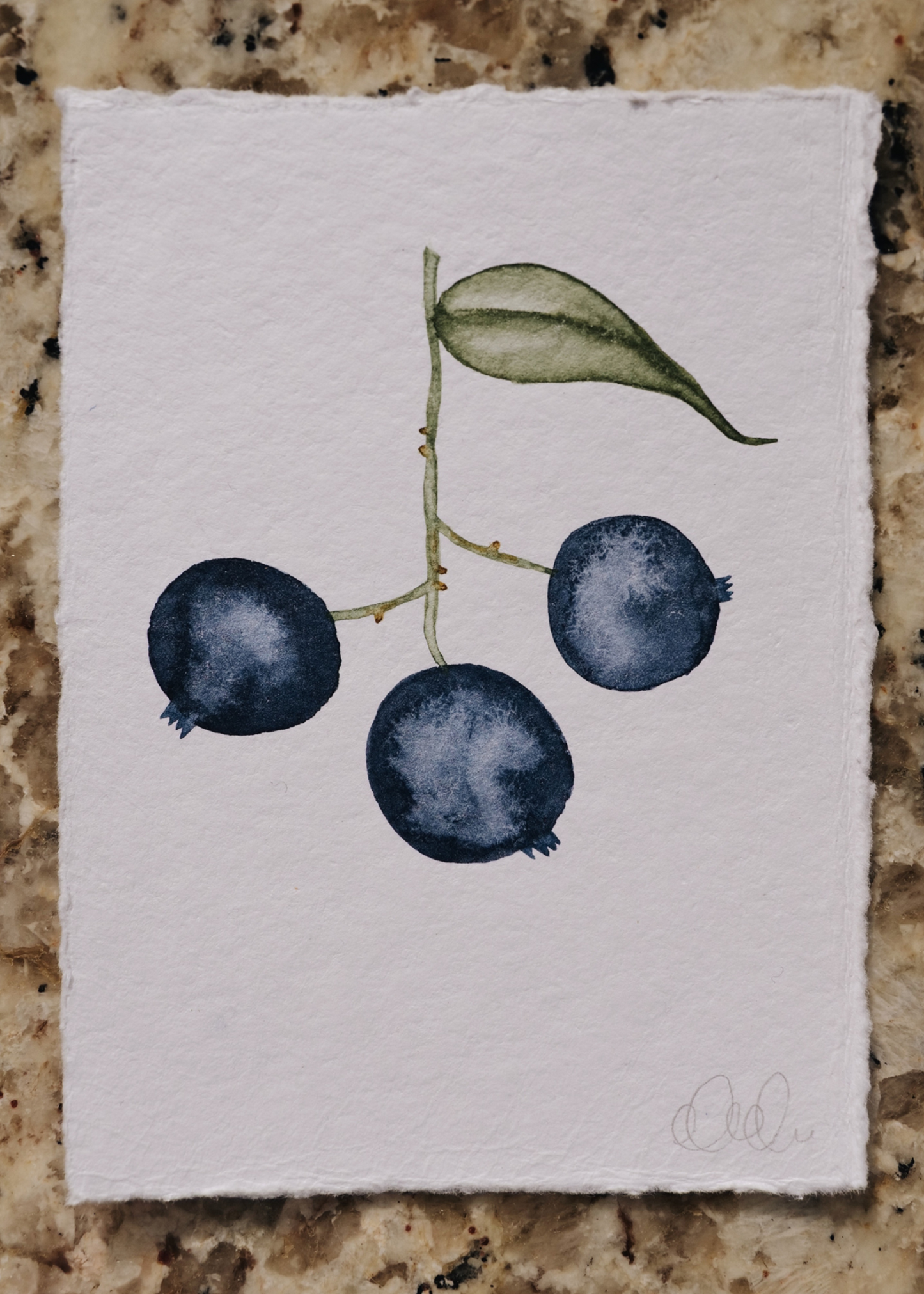 Hand-Painted Blueberry | Fruit Stand