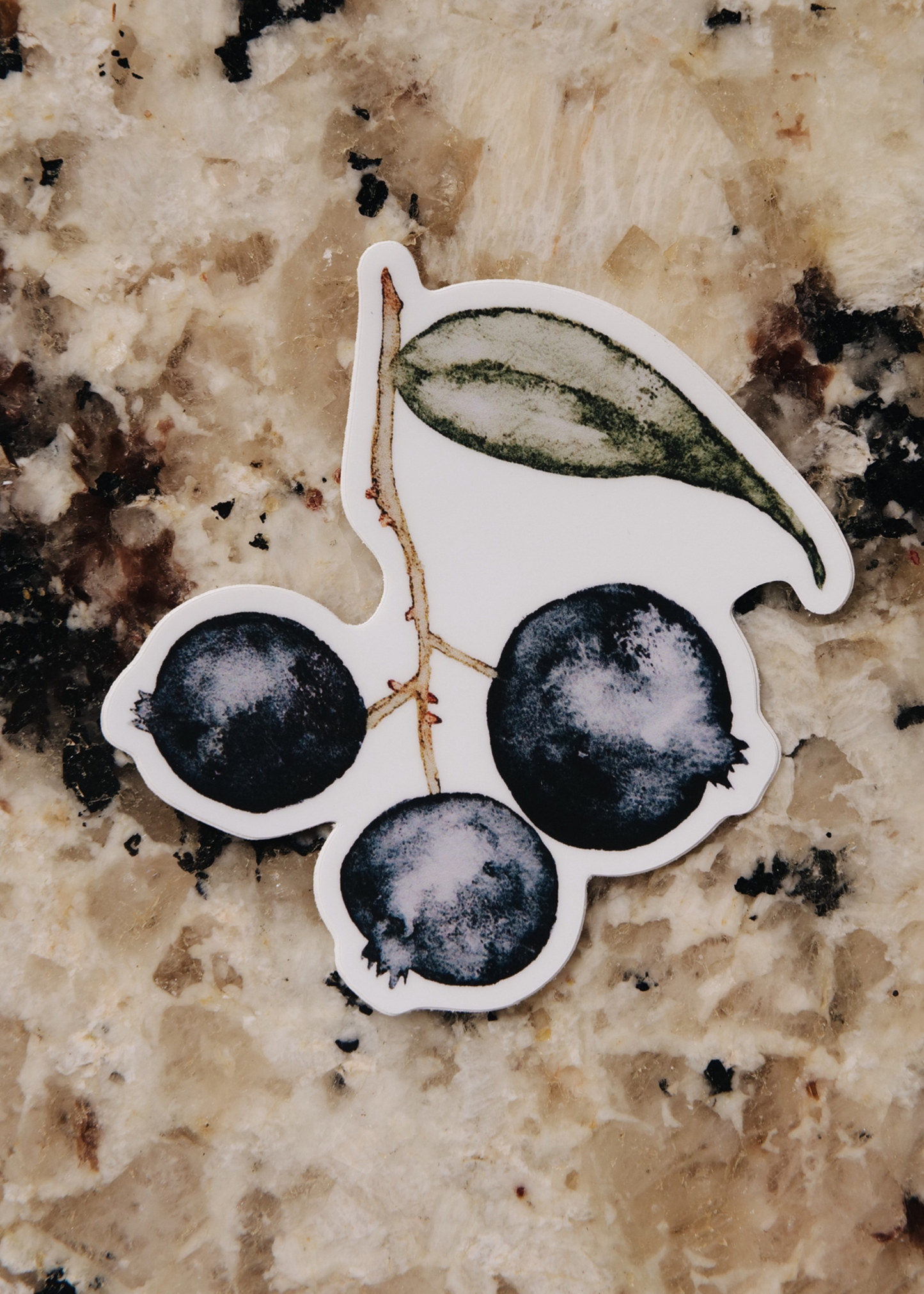 Watercolor Blueberry Sticker | Fruit Stand