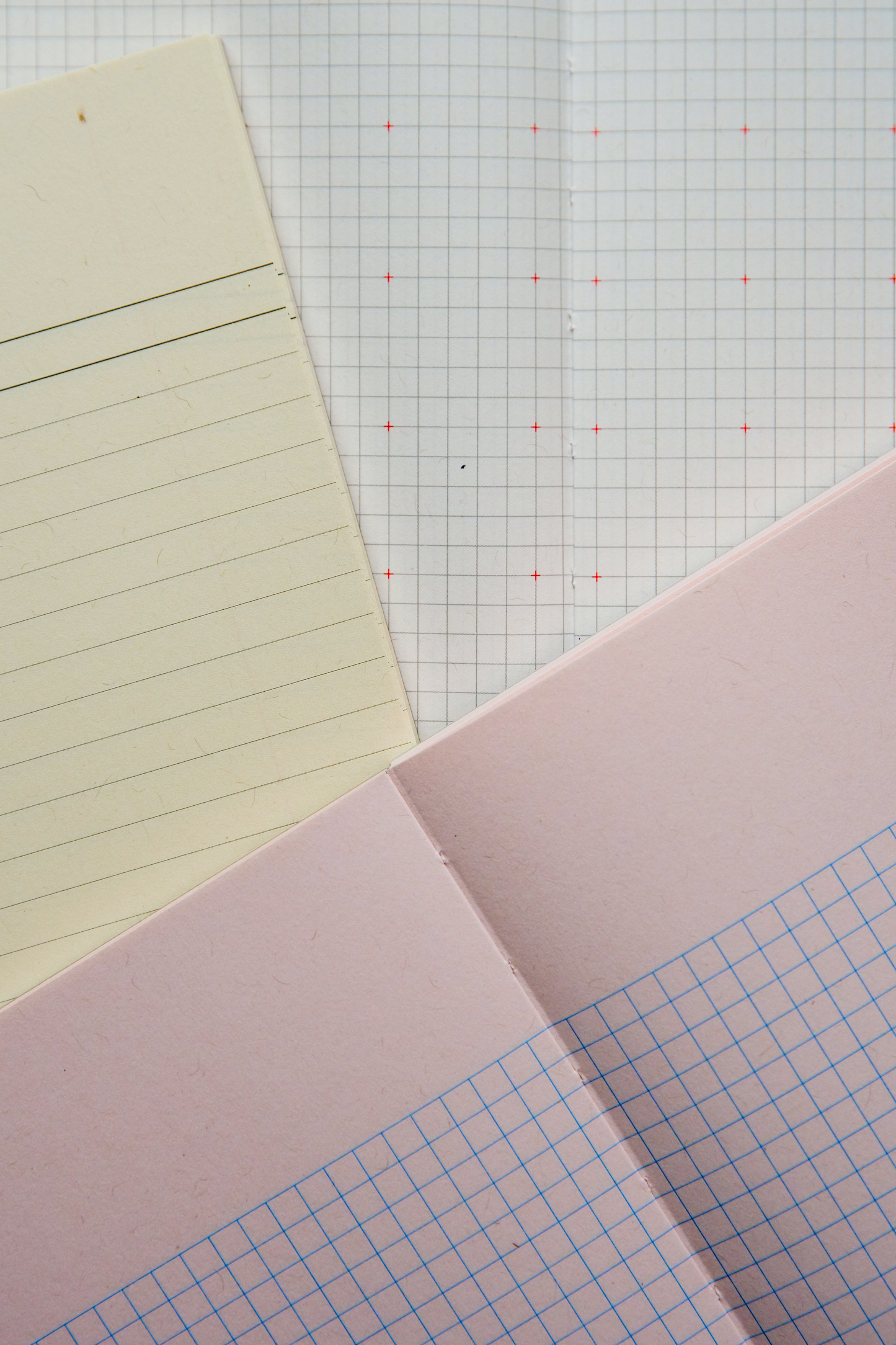 Paperways Patternism Notebook - Edge Ruled