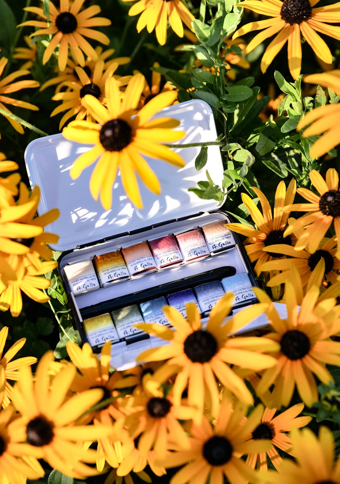 The Prairie Palette: A Martha Mae x A. Gallo Watercolor Palette