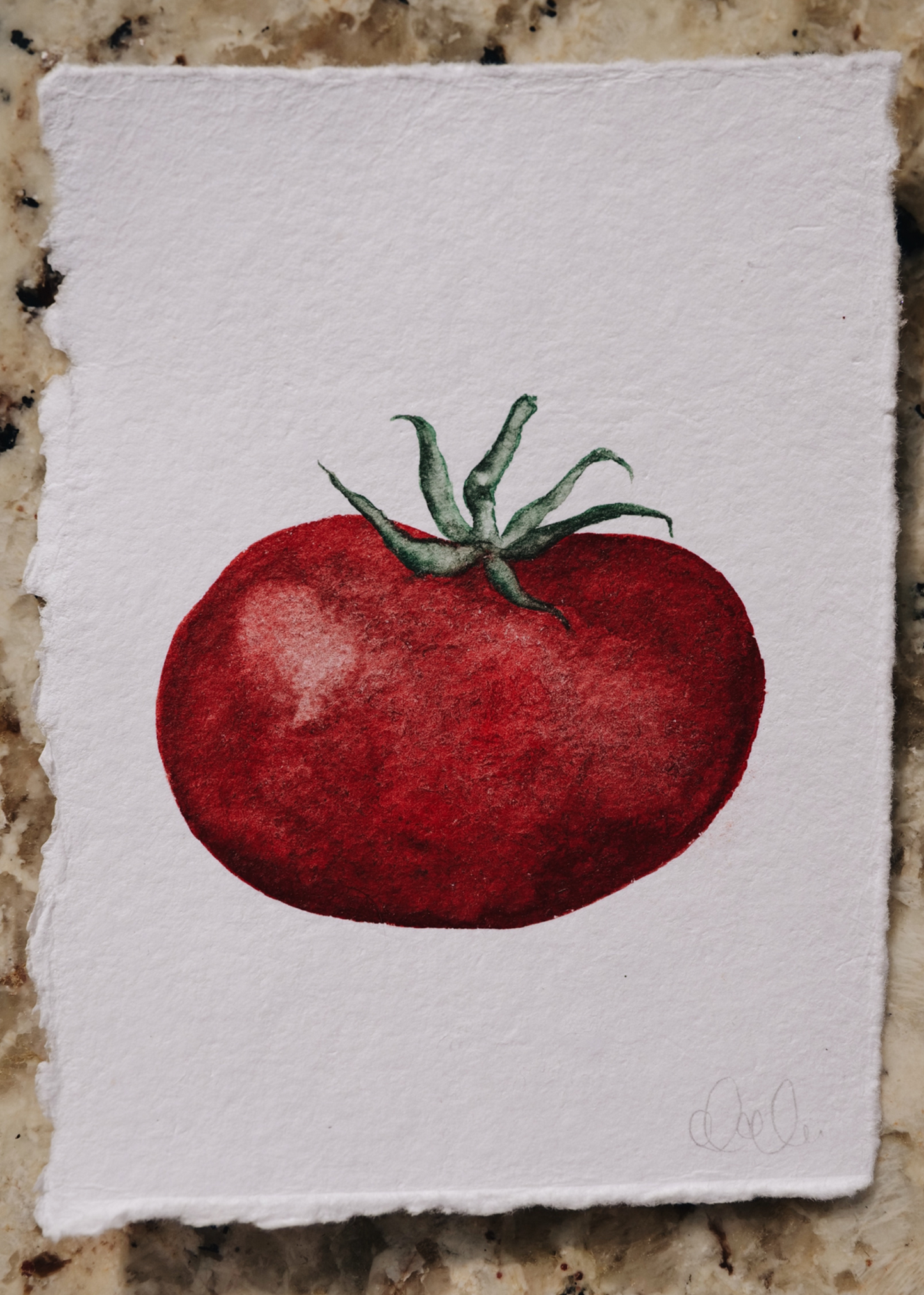 Hand-Painted Tomato | Summer 2023 Fruit Stand