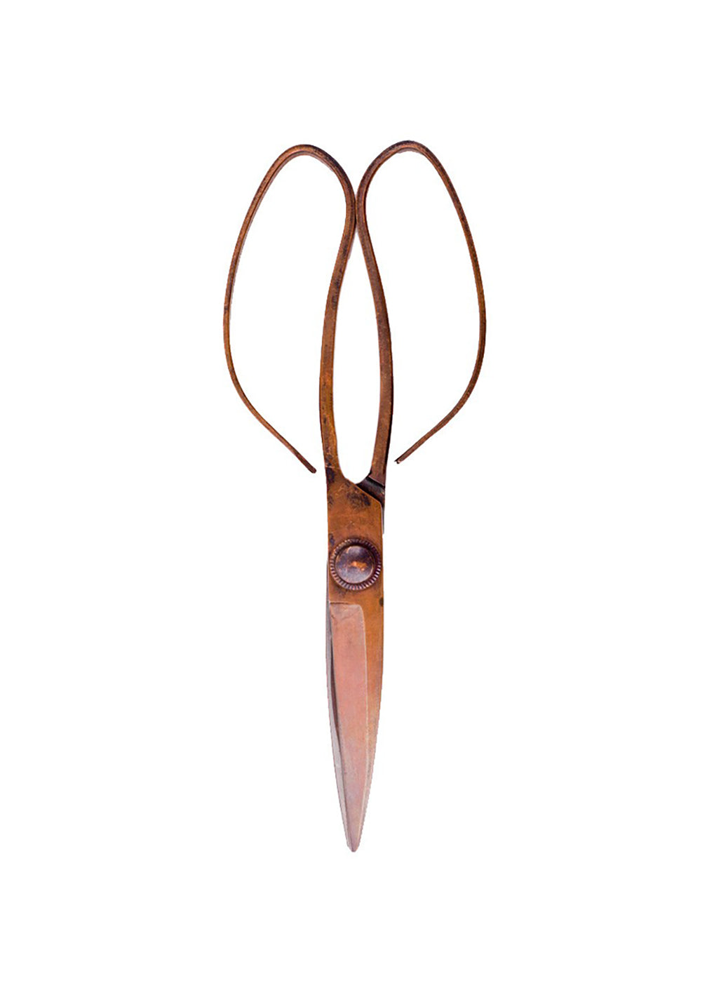 Copper Large Scissors