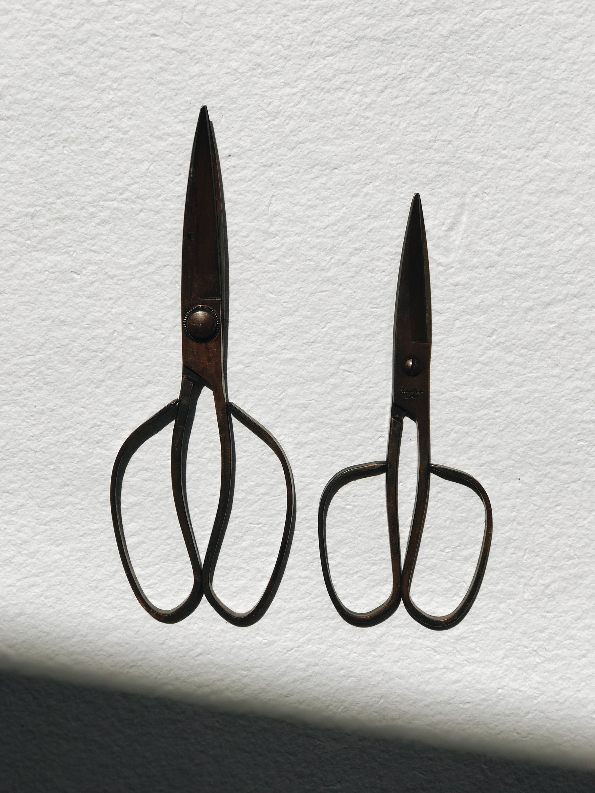 Black little scissors